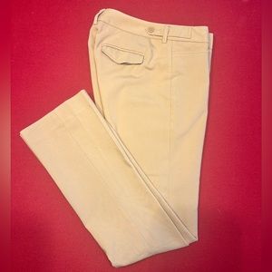 Express Columnist dress pants